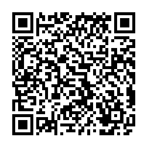 于是利用走过去的这不到两分钟的时间在大脑里简单地整理了即将要说的话二维码生成