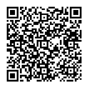 于是可能是世界上第一台时速五百二十迈的超级包车巴尔西昂制造计划就这么敲定了……二维码生成