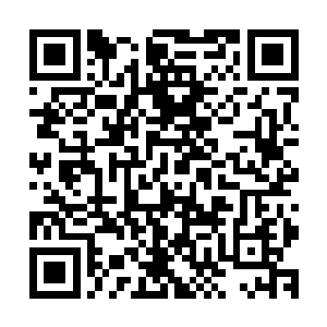 于是大家伙就在灯笼里点上最上等的牛油蜡烛和他们拼了……二维码生成