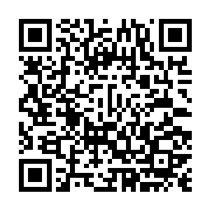 于是就在这原始森林之中……就在无数被枪杀的野狼尸体二维码生成