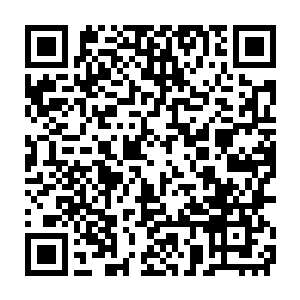 于是很快便见一干兵士推着一具具并排插满枪支的栏栅拦在正中央二维码生成