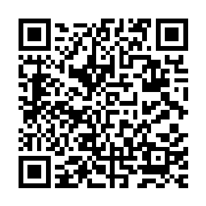 于是整个多伦多就成了加拿大北部大多数印第安人聚集的标点二维码生成