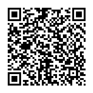 于是洪大力就这样又多了一个好朋友――六岁就可以力举千金的小十七二维码生成