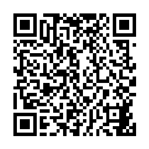 于是看了一会儿后就又把注意力放在了下方的拍卖会上了二维码生成