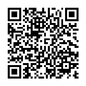 于是走出了病房去重症监护室看看秦振邦抢救的怎么样了二维码生成