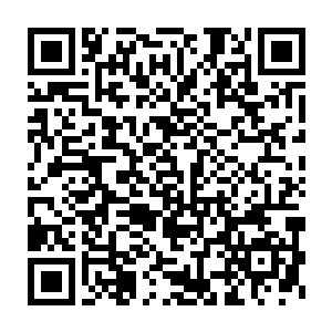 于是这一部分课程他们便郑重其事的委托给了爱多里商业街的邻居二维码生成