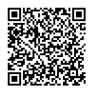 云妃也不知道是从哪儿移了好多开在秋季的野花来把这园子重新装点二维码生成