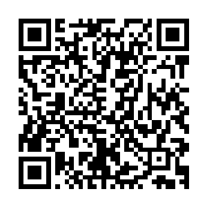云罗茶树我是肯定要带走的……你就老老实实给我呆在这里吧二维码生成