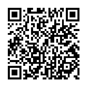 云逸原本带着几分苍白的容颜染上了淡淡的红晕二维码生成