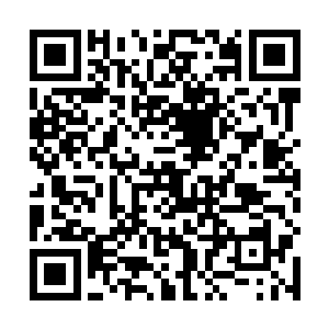 云逸就是在嚣张肯定也不会嚣张到拿着小炮跟轮子妈打二维码生成