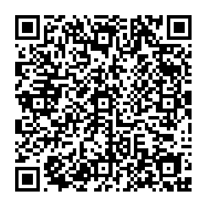 云鹤长老还满心怀疑眼前这邪吝之气十足的魔修宗主是不是找了什么冠冕堂皇的借口来骗他们交出赤巢的使用权二维码生成