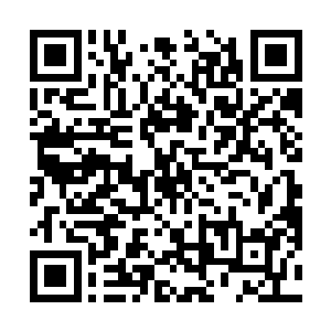 五位长老已经同意了我辞去天方城龙皇神殿殿主的职务二维码生成