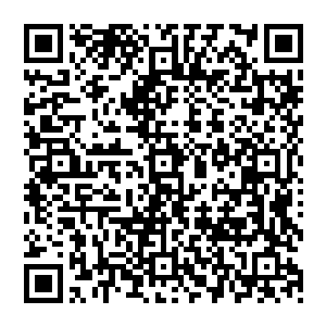 五分钟后旅行包被塞满了老王嘴角抽搐一下里面连手雷都有要是这俩人去抢个银行估计很轻松吧二维码生成