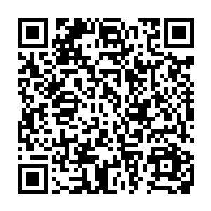 五灵阵的几位师叔和还在仙灵死海中战斗的他们不知道还要战斗多久二维码生成