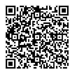 五百名云达不莱梅球迷们在机场迎接荣光的盛况通过电视媒体和网络传播到了全世界二维码生成