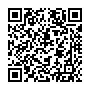 五皇子到底是被冤枉的还是根本就不孝不敬先皇和列祖列宗二维码生成