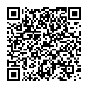 亚历克斯站在红地毯上就受到了影迷们一阵接着一阵的欢呼和呐喊二维码生成