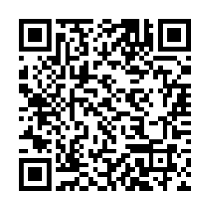 交给目前担任雨果经理人的约瑟夫进行确认就可以了二维码生成