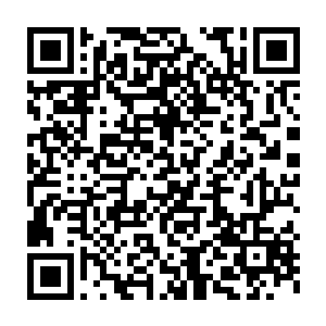 亦学会在他们的甲壳表面镌刻绚烂的花纹来取悦这种迟钝而愚蠢的巨兽二维码生成