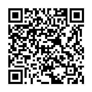 亦瞒不过彼岸者和造化境界里可号称天尊的那几位二维码生成