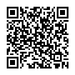 京都几乎整个文艺圈之人的目光都集中到了他的新作二维码生成