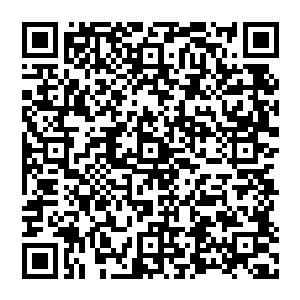 京都百姓们更愿意相信那种更加寒冷阴森的传闻――可怜昭明太子早就被圣后娘娘亲手捂死在了襁褓里二维码生成