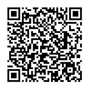 人一个个瞪大了眼睛去看那个突然之间凭空出现在他们副统领面前的白影二维码生成