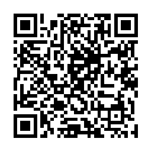 人为什么一定要在失去了一切之后才意识到现在的幸福呢二维码生成