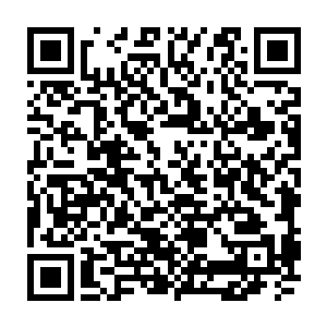 人仙期……地仙期……天仙期……罗天上仙……大罗金仙……九天玄仙……二维码生成