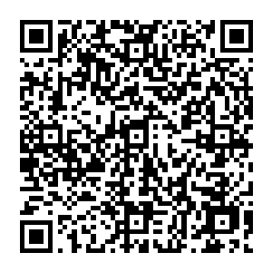 人们也免不得幸灾乐祸地把眼神投向了在这种故事中用来衬托主角英明神武的那个大户――在二维码生成