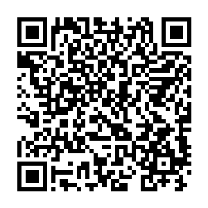 人们也只会记得这位皇帝在身患重病朝不保夕的情形下下令停建皇陵二维码生成