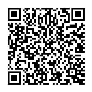 人们总是习惯用奥斯卡得奖者――甚至只是奥斯卡提名者来进行宣传二维码生成