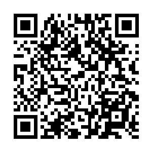 人像火炮一样离地而起握拳狠狠地朝着狼哥砸了过去――二维码生成