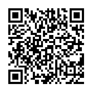 人员的渗透下根据无数情报信息梳理捕捉到各种态势加以运用二维码生成