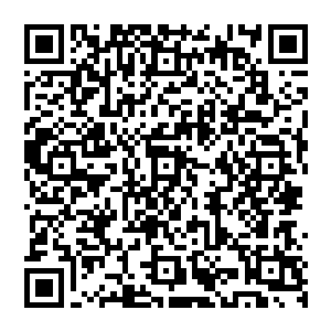 人在第一时间里总是会错误的认为身体看上去越是高大越是强壮的男人力量一定也同样的强大二维码生成