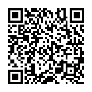 人大代表都是各个部门的领导和各个行业有杰出贡献的人才二维码生成