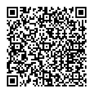 人家……人家就知道你会这么说……只是咱们私下说不好么……人家……人家会羞涩的嘛……二维码生成