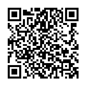 人家刚才可是把坐在左手边首位的真一教教主都给削成了木棍二维码生成