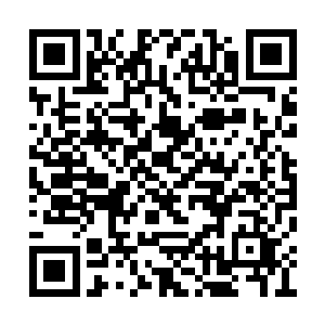 人家的电脑屏幕上飞快流淌过一片片的编程数据二维码生成