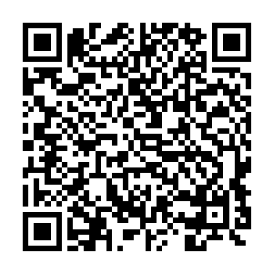 人族并没有能够取代玄灵族的排名地位而是由原来的第十一大种族继位二维码生成