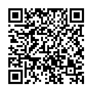 人族老祖此刻应该无论如何都不会放任九品墨徒离去的二维码生成