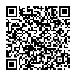 人畜无害的模样让街头示威人员看了看满身是血只有内衣的安德里斯二维码生成