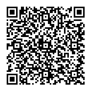 人的身体 但身上确实覆盖着鳞甲 再看他的脸 眉清目秀 但又无比刚毅 好似惊天的一尊战神二维码生成