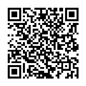 人类实现了人类历史上的第一次的各个种族的大和解二维码生成
