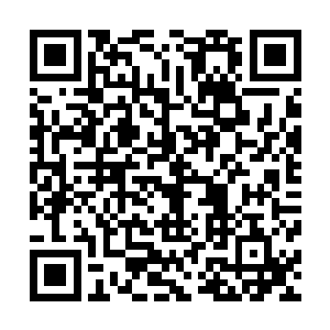 人类的修炼和妖兽的修炼只在于境界上成为半灵的先后对吧二维码生成