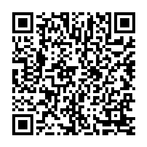 人类的半步武帝确实不简单啊……比半步至尊灵兽在应变上强的太多了二维码生成