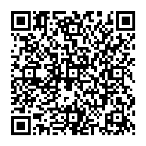 人类的所有势力几乎在那一次半兽人进攻之后便已经完全洗牌被夜染和她身边的人握在手里二维码生成