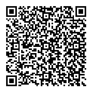 人群惊呼 只觉口干舌燥 说不出话來 今日本就见到了无数传说中的大能 现在又是看到如此一幕 实在是让人惊叹二维码生成