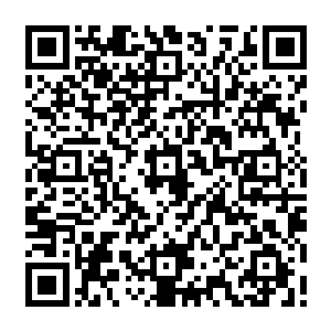 人群惊呼 同时 在古棺变大的瞬间 原本混战在一起的几大金丹大能纷纷脱离战场二维码生成