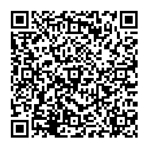 人群起飞 风清扬身体一摆 气势散发而出 同一时刻 暗夜鬼市上空忽然黯淡下來 大荒兽鲲鹏咆哮而出二维码生成